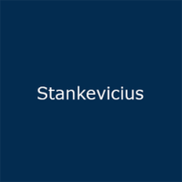 Stankevicius MGM – Digital Performance Analytics